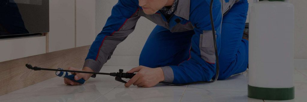 Reviews-for-Guardian-Pest-Management-Pest-Control-Leigh